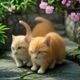 熊猫视频用户体验设计师陈明，专注产品交互与搜索功能优化